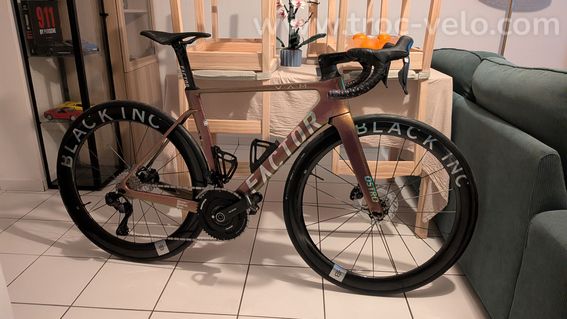 Factor ostro edition limited scarab - 2