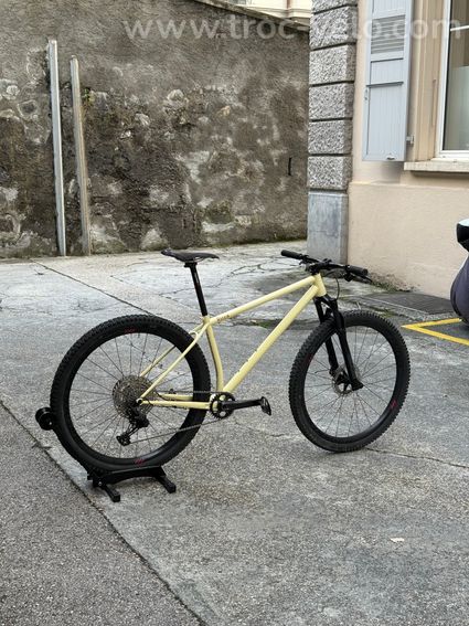 VTT acier Ricca Mountain