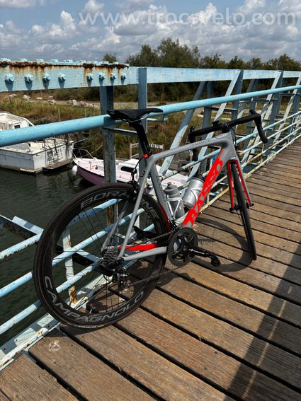 Basso Diamante  - 5
