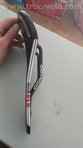 Selle prologo  - 2