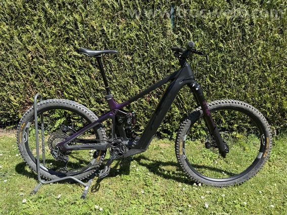 Pivot Shuttle LT 2026 - 5