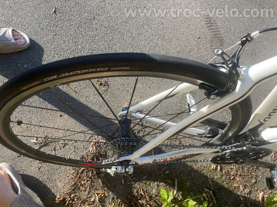 vélo de route clonage CLX carbon-full campagnolo record - 6