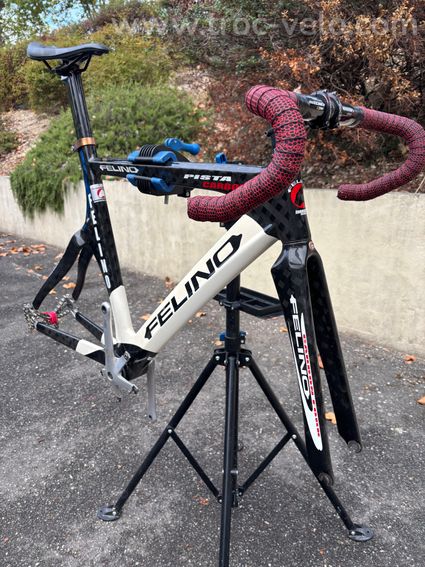 Felino Pista Carbon  - 2