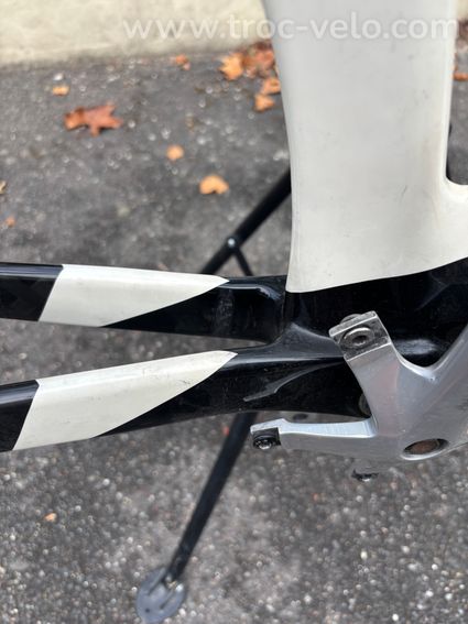 Felino Pista Carbon  - 5