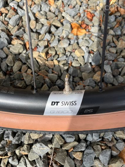 Roue DT SWISS Gravel  - 6