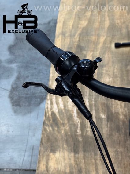 Diamant Beryll Deluxe+ Vélo électrique Shimano Nexus 2023 - 5