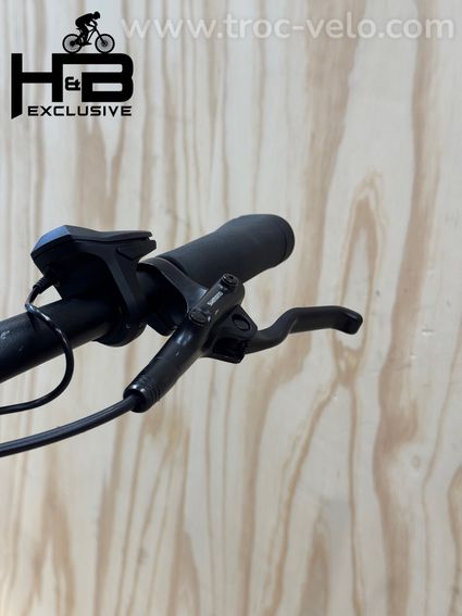 Diamant Beryll Deluxe+ Vélo électrique Shimano Nexus 2023 - 6