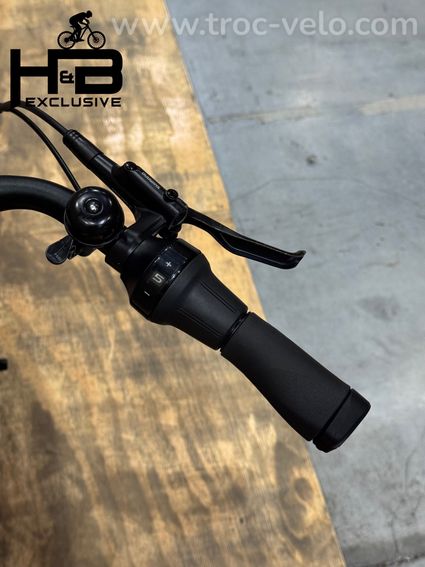 Diamant Beryll Deluxe+ Vélo électrique Shimano Nexus 2023 - 9