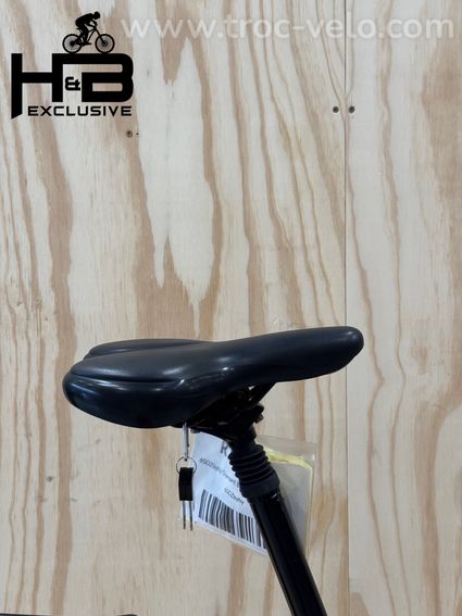 Diamant Beryll Deluxe+ Vélo électrique Shimano Nexus 2023 - 10
