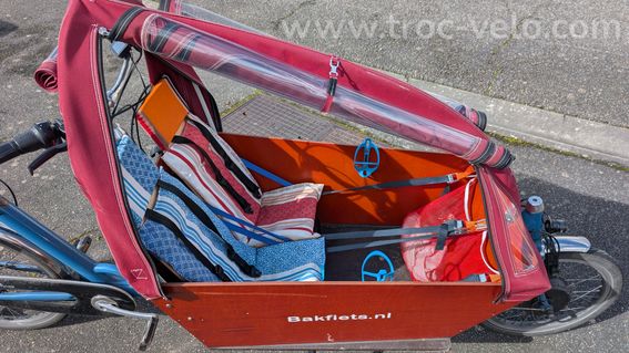 Vélo cargo Bakfiets biporteur long électrique - 3