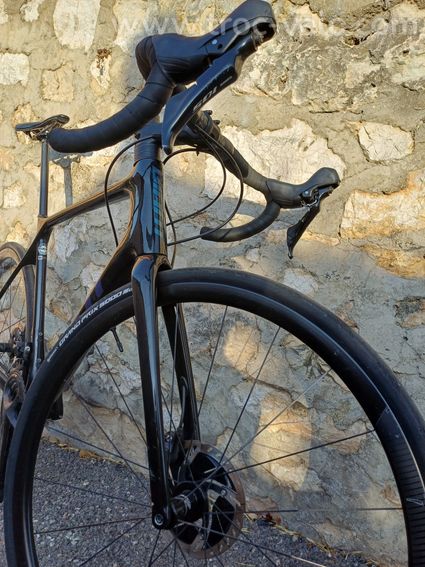 Giant TCR Advanced Pro 2 Disc 2021 M/L - 3