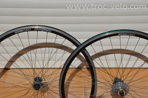 Paire de Roues Ambrosio Focus TBQ - 36 rayons - 9 speed 12-23 - Shimano Deore - 2