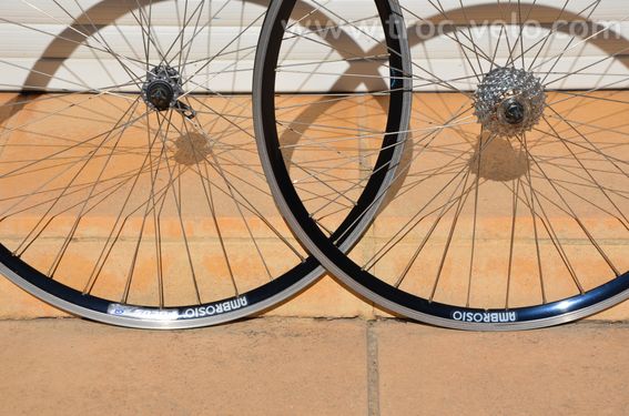 Paire de Roues Ambrosio Focus TBQ - 36 rayons - 9 speed 12-23 - Shimano Deore - 3