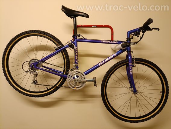 Giant Terrago