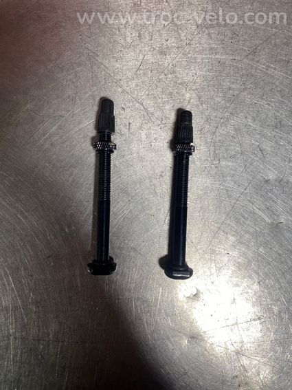 Valves tubeless BONTRAGER base ronde 67mm - 2