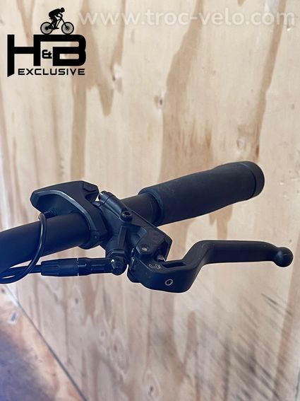Riese & Müller Charger 3 Mixte Vario Vélo électrique  - 6