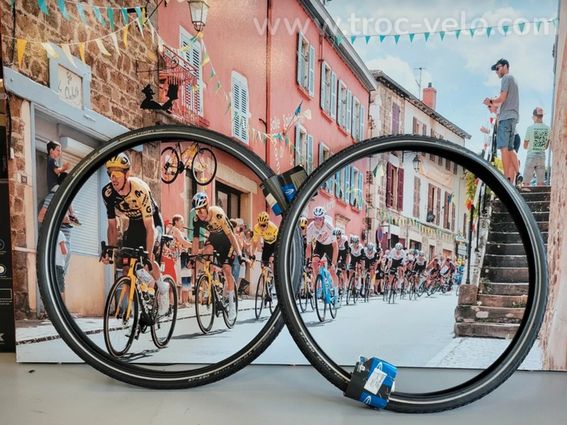 Paire de pneus de route Schwalbe Marathon