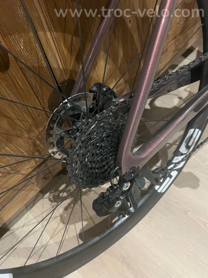 Envie liv xxs 2025 - 2