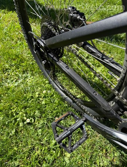 VTT, Canyon, Canyon neuron - 7