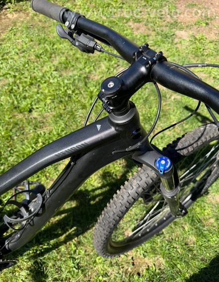 VTT, Canyon, Canyon neuron - 8