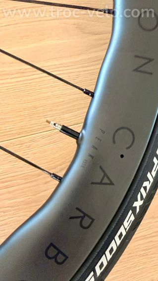 Roues Princeton Peak 4550 Evolution - 4
