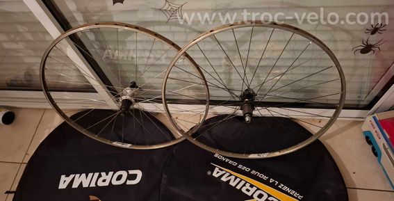 Roues arrière, montage artisanale  - 2
