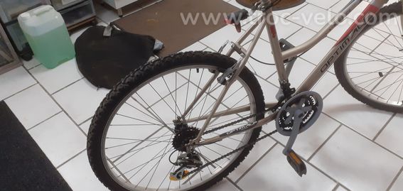 velos femme - 3