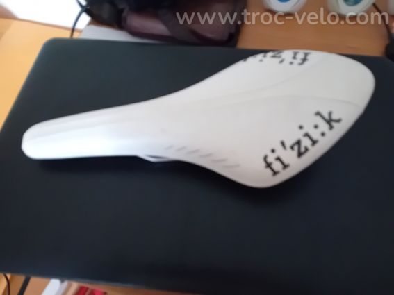 Selle fizik aliante