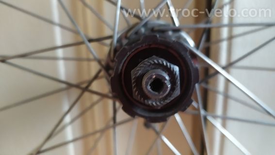 Roue arrière moyeu campagnolo - jante rigida - 3