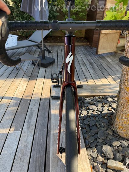 CADRE SPECIALIZED SORK'S TARMAC SL8 T58 - 4