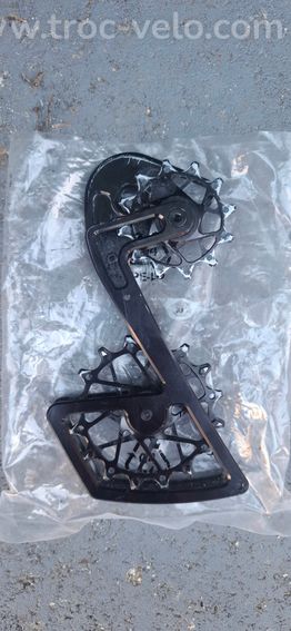Chape derailleur