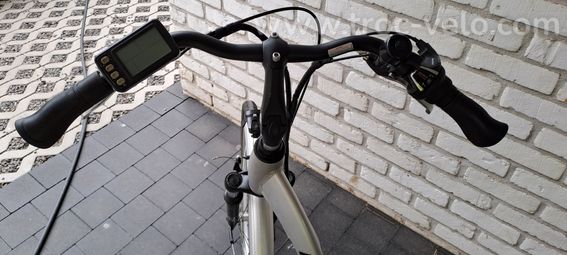 Vélo électrique Minerva - 6