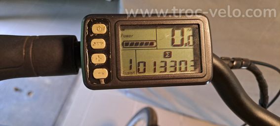 Vélo électrique Minerva - 10