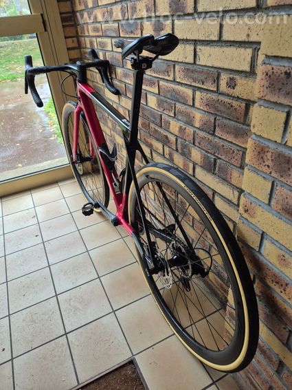 Canyon CF SL 7 - 4