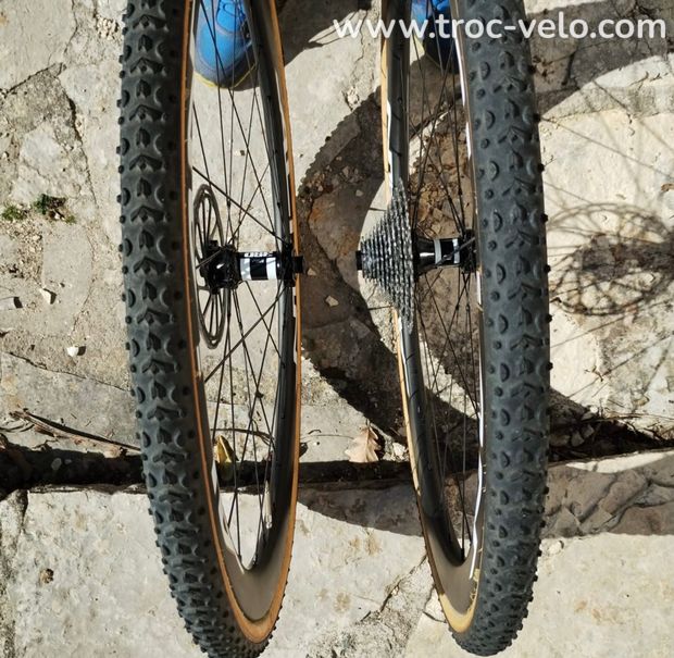 ROUES ALIAN CARBONE BOYAUX - 3