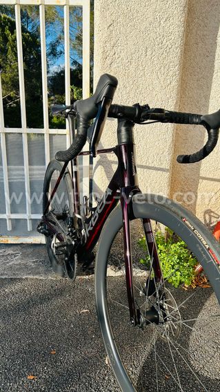 ORCA M31eLTD PWR 51 couleur WIN-TIT