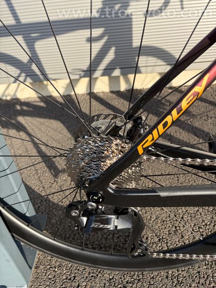 Ridley falcn - 5