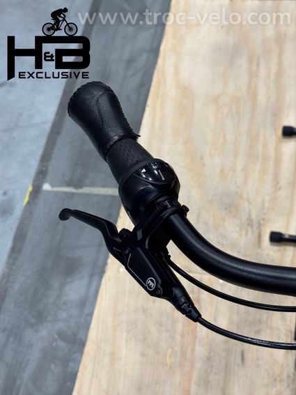 Gazelle Avignon C8 HMB Vélo électrique Shimano Nexus 2023 - 6