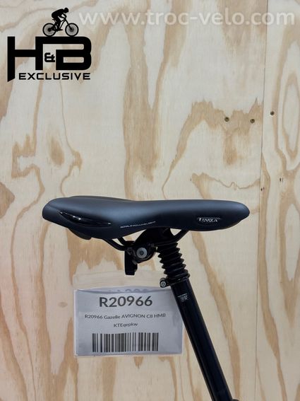 Gazelle Avignon C8 HMB Vélo électrique Shimano Nexus 2023 - 11