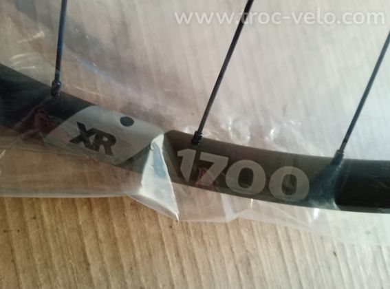 Roue Avant DT Swiss XR1700 29pouces - 2