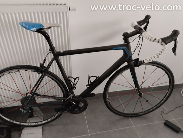 Focus izalco max  - 1