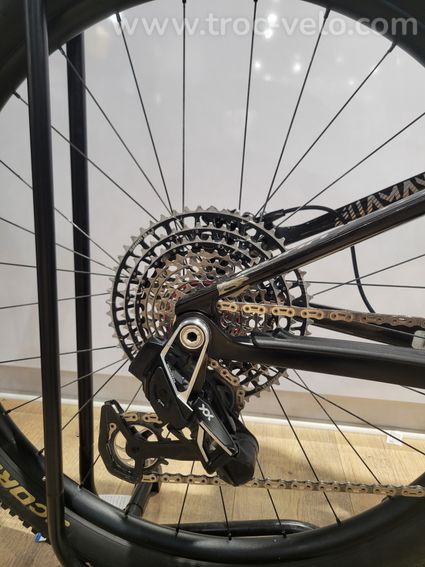 Sunn Shamman XC Finest XL - 4