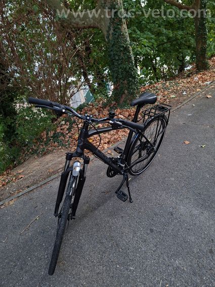 Vélo LICORNE
