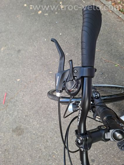 Vélo LICORNE - 6