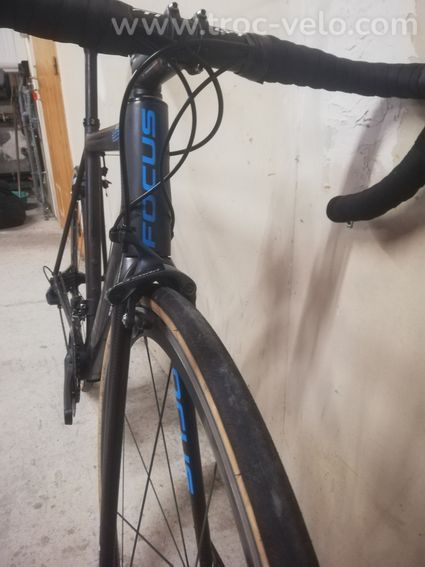 Focus izalco max - 2