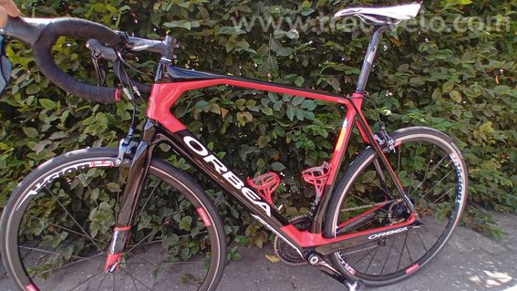 Orbea orca  - 2