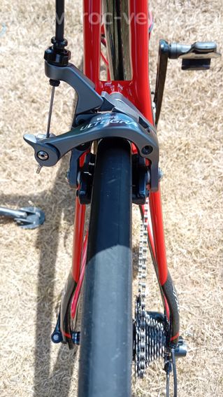 Orbea orca  - 3