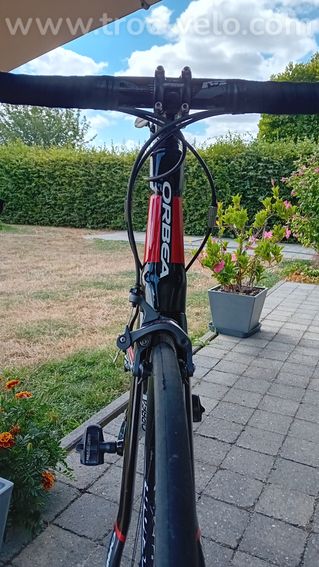 Orbea orca  - 4