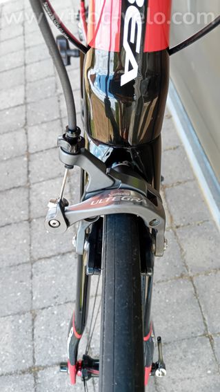 Orbea orca  - 5