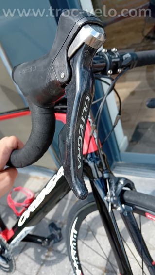 Orbea orca  - 6